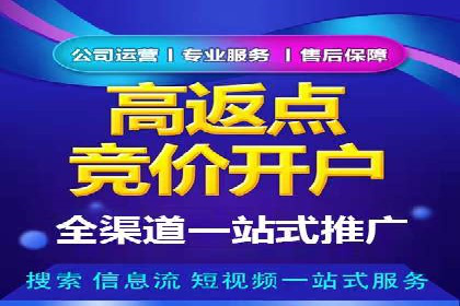 信息流广告投放公司案例策略解析
